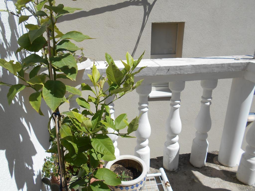 Apartments Ema Sibenik Exterior photo